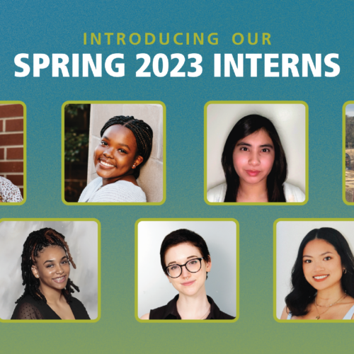 Headshots for Active Minds' spring 2023 interns with text reading, 
