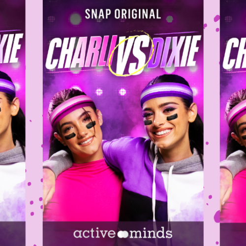 d'amelios social blog banner