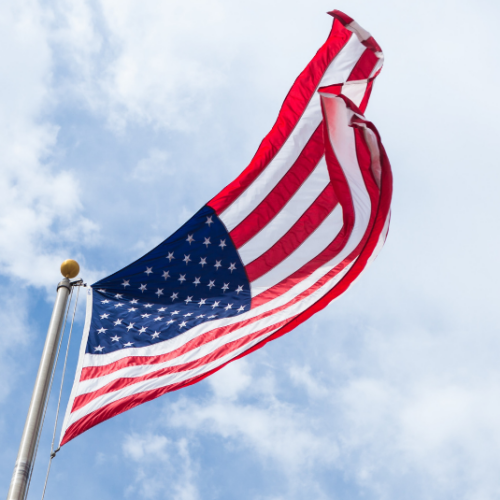 veterans day socials blog