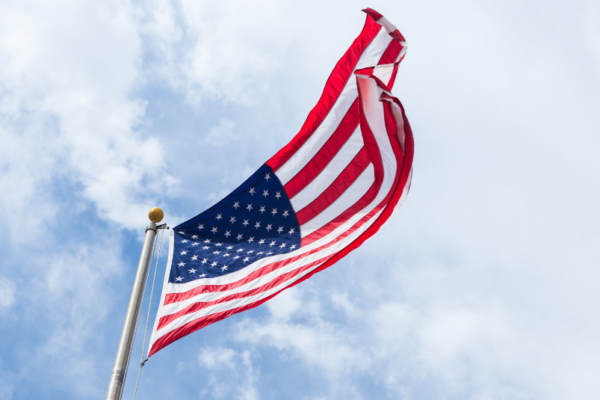 veterans day socials blog