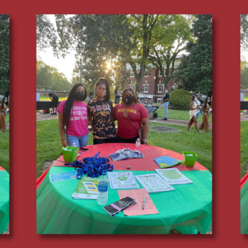 Tuskegee Blog Banner